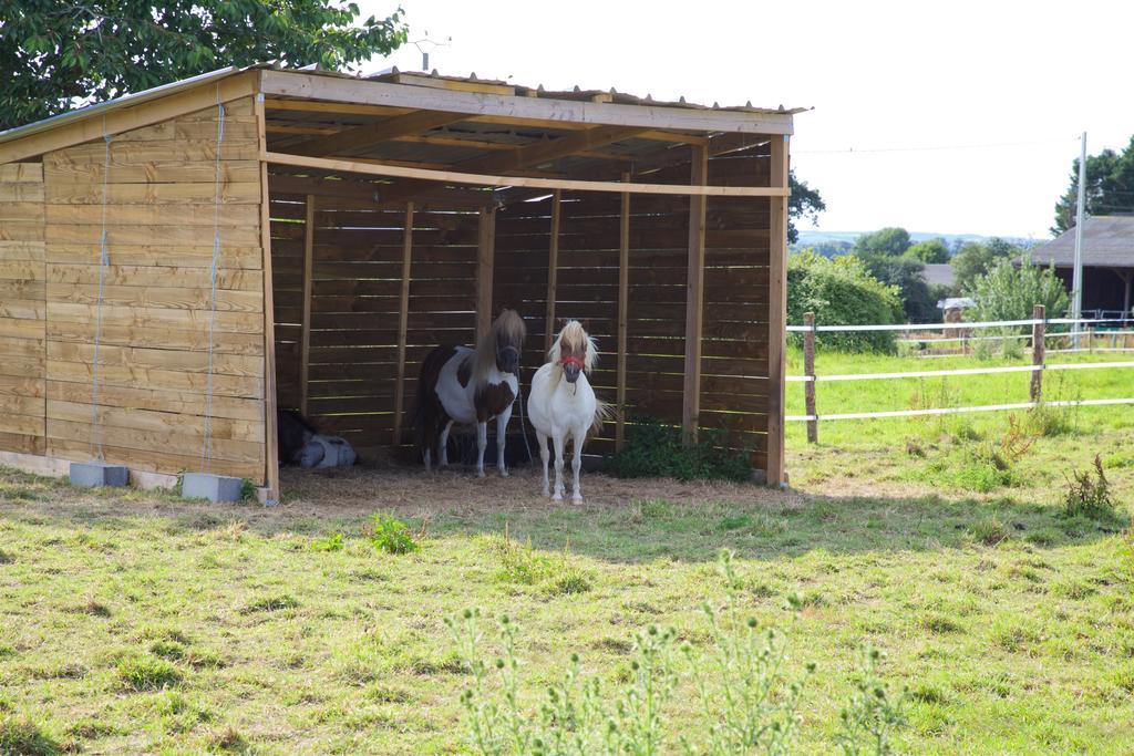 شقة La Petite Chesnee Sacey المظهر الخارجي الصورة